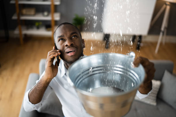 Best Sewage cleanup and water damage restoration  in Williamsburg, PA