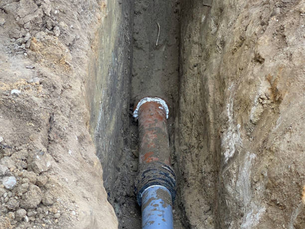 Best Flood damage cleanup  in Williamsburg, PA