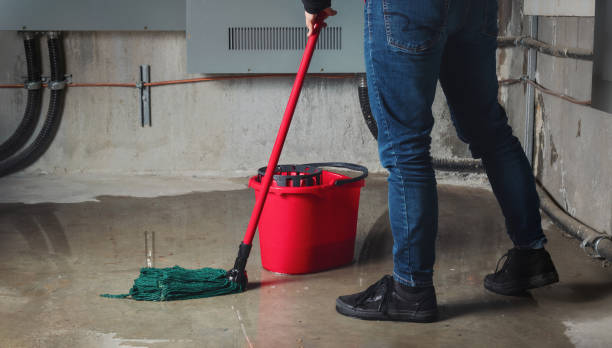 Best Basement water damage restoration  in Williamsburg, PA