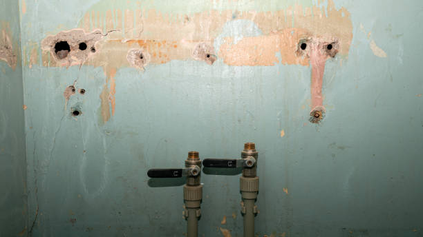 Water damage restoration mold remediation in Williamsburg, PA