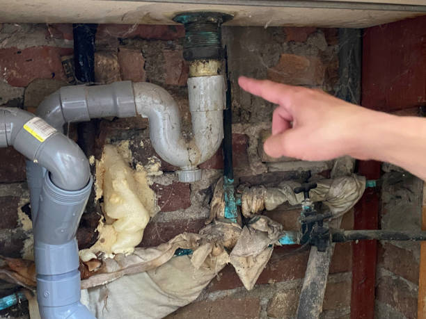 Best Mold removal after water damage  in Williamsburg, PA