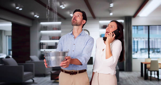 Best Water damage mitigation services  in Williamsburg, PA