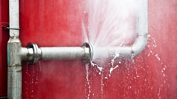 Best Water damage restoration mold remediation  in Williamsburg, PA